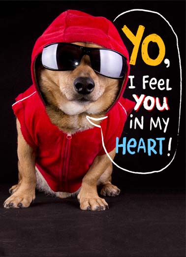 Gangsta VAL Valentine's Day card Gangsta VAL Funny Valentine's Day A picture of a dogs wearing a hoodie and sunglasses saying 'I feel you in my heart'. | dog sunglasses hoodie Valentine's Day love heart feel Gangsta love happy Hope your Valentine's Day is Gangsta!