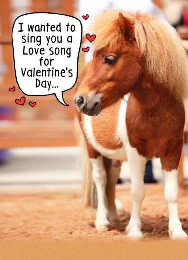 Little Horse VAL Valentine's Day card Little Horse VAL Funny Valentine's Day A small horse saying they want to sing you a song for Valentine's day. | little horse happy valentine day sing song love heart cute animal ride But I'm a little horse.