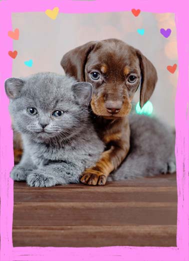 Loving Little Wish Valentine's Day card Loving Little Wish Funny Valentine's Day A picture of a cat being hugged by a dog to send you a very happy wish for valentine's day. | happy valentine's day hug cat dog heart love loving wish send Just a loving little wish for a very happy birthday!